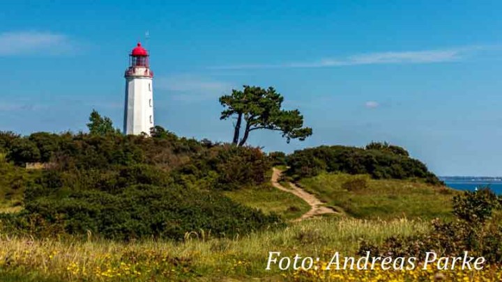 Aktuelle Ausstellung